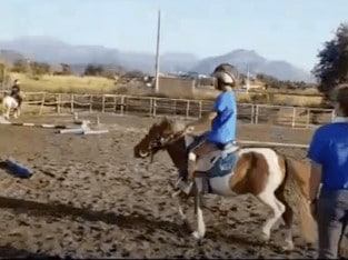 Kids Pony lessons