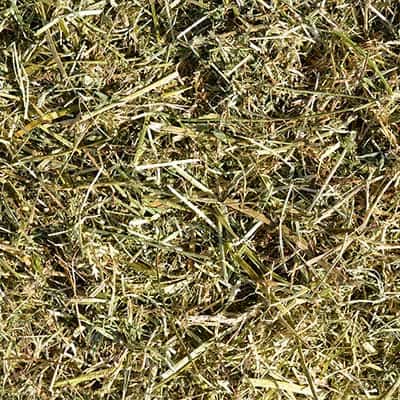 Italian hay for equine nutrition