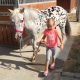 Children horsemanship classes