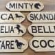 Personalized Horse Stable Sign